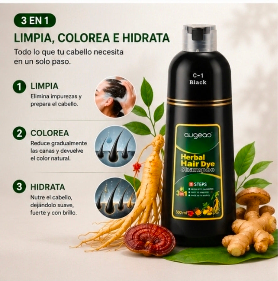 Champú Anticanas Herbal 3 en 1 – Cobertura Progresiva y Color Natural para el Cabello | 500ml